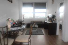 Flat 409 One bedroom apartment
